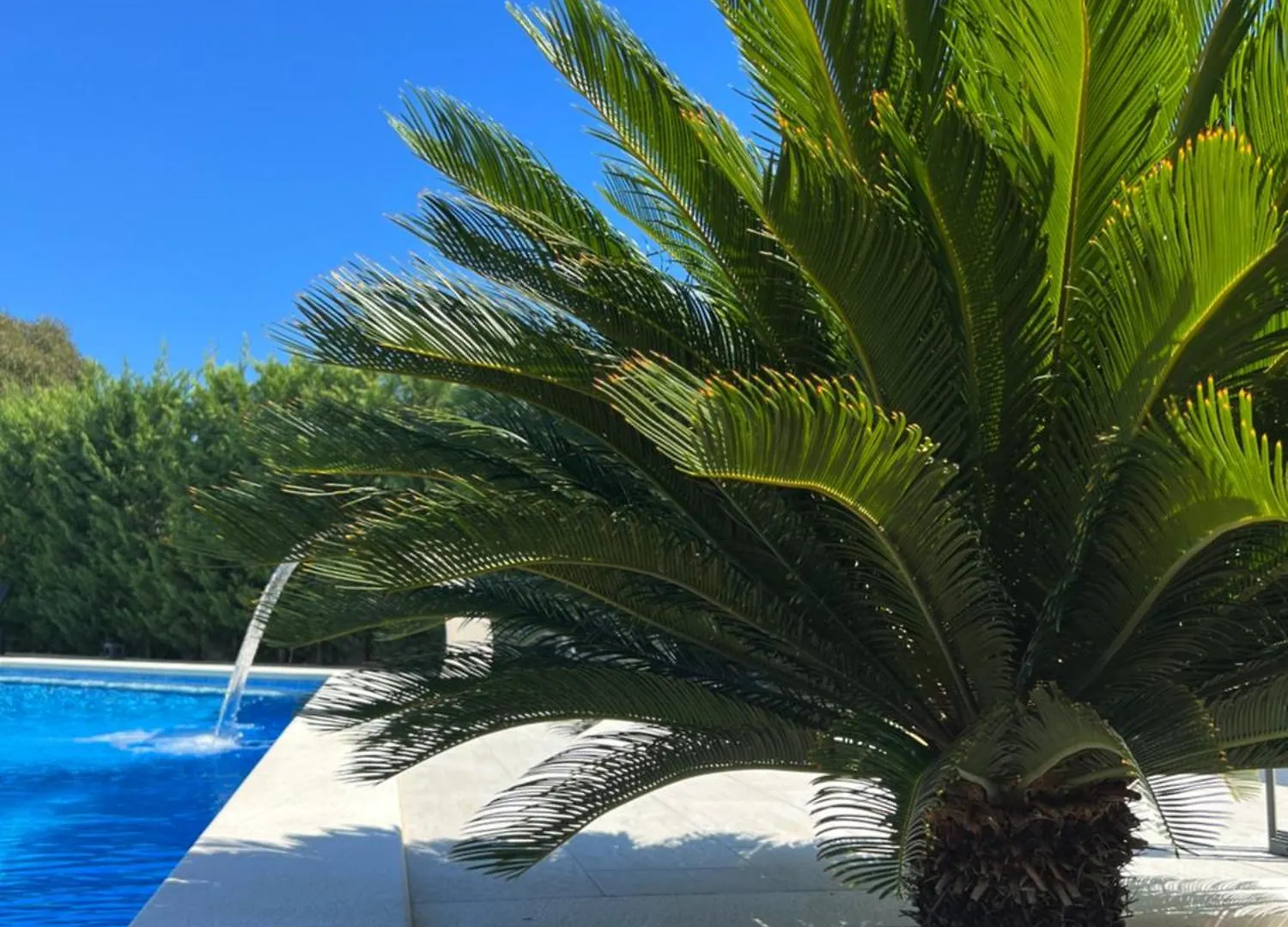 Holiday Luxury Resort Sundance تروغير